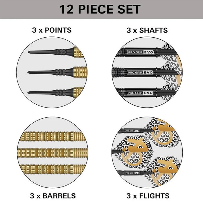 Target Bolide Envy 10 Soft Tip Dart Set
