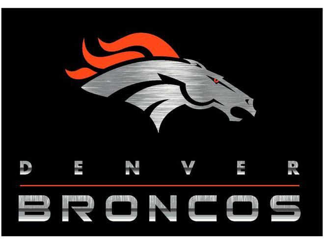 Imperial USA Officially Licensed NFL Chrome Area Rugs