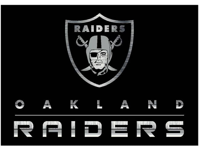Imperial USA Officially Licensed NFL Chrome Area Rugs