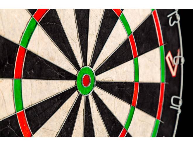 Vector E15 Dartboard